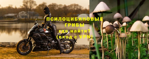 гидра Балахна