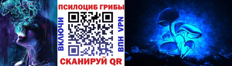 Псилоцибиновые грибы Magic Shrooms  Купить закладки  Багратионовск 